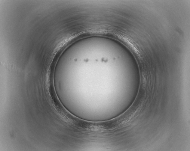 X0000116130487200912071225