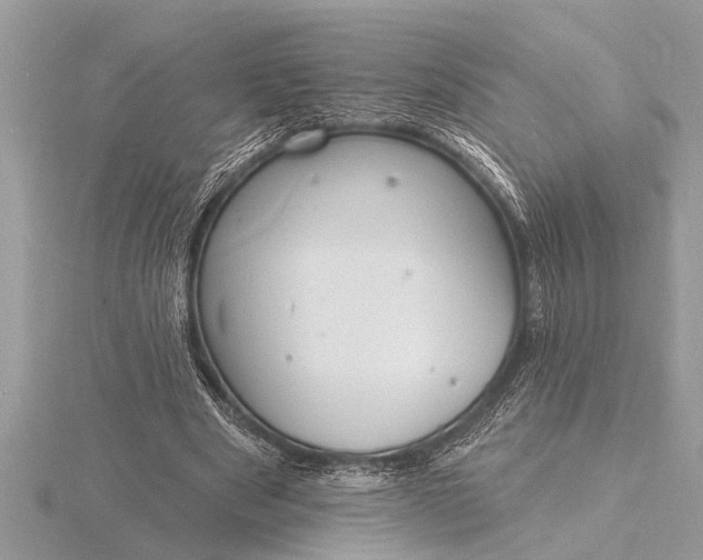 X0000116130489200912071225