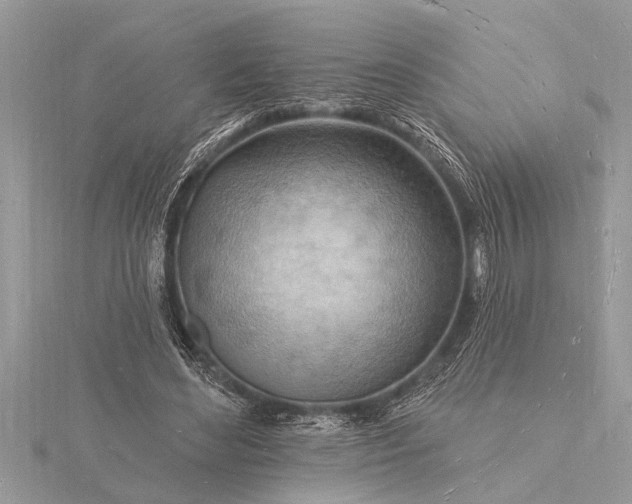 X0000116130492200912071225