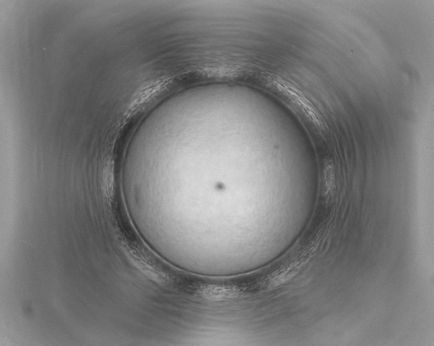 X0000116130494200912071225
