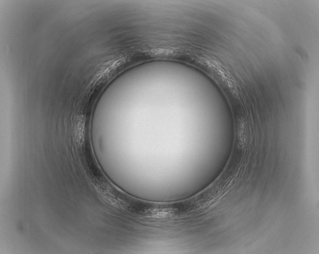 X0000116130495200912071225