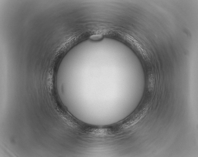X0000116130497200912071225