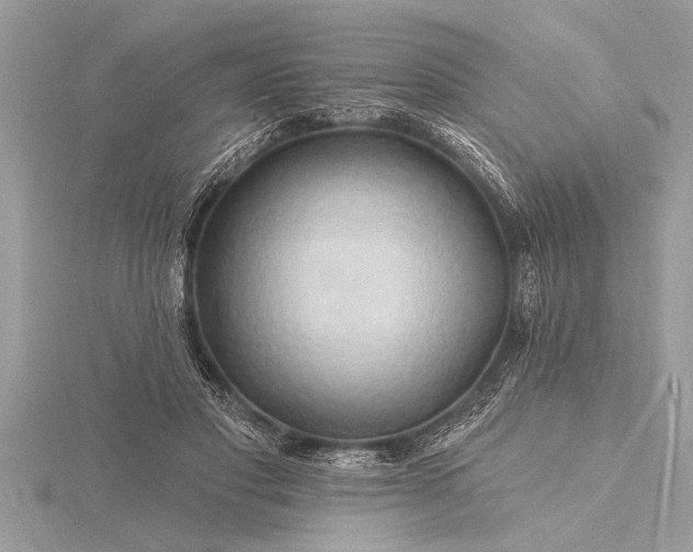X0000116130501200912071225