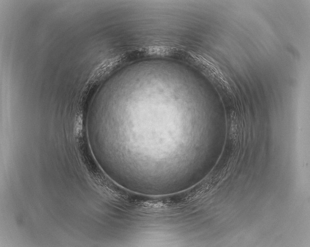 X0000116130502200912071225