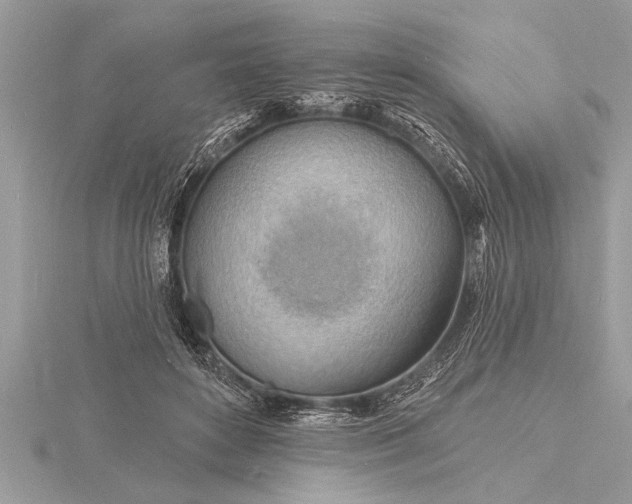 X0000116130504200912071225