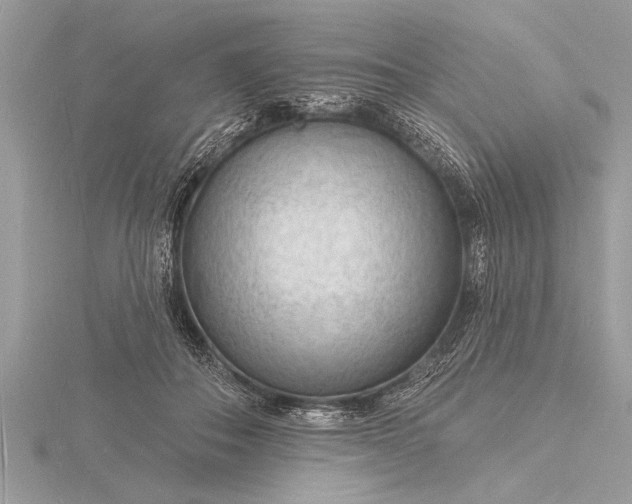 X0000116130506200912071225