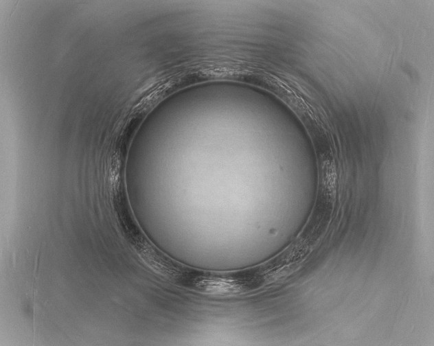 X0000116130507200912071225