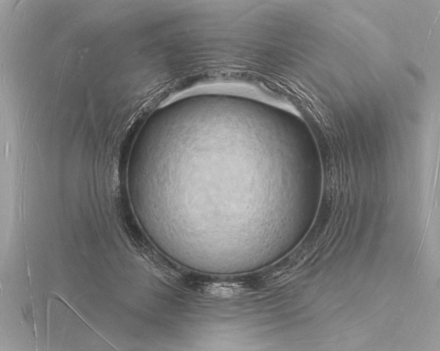 X0000116130508200912071225