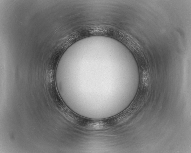 X0000116130514200912071225
