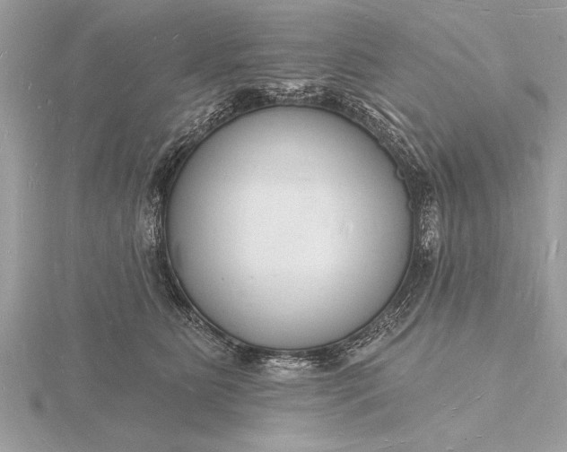X0000116130515200912071225