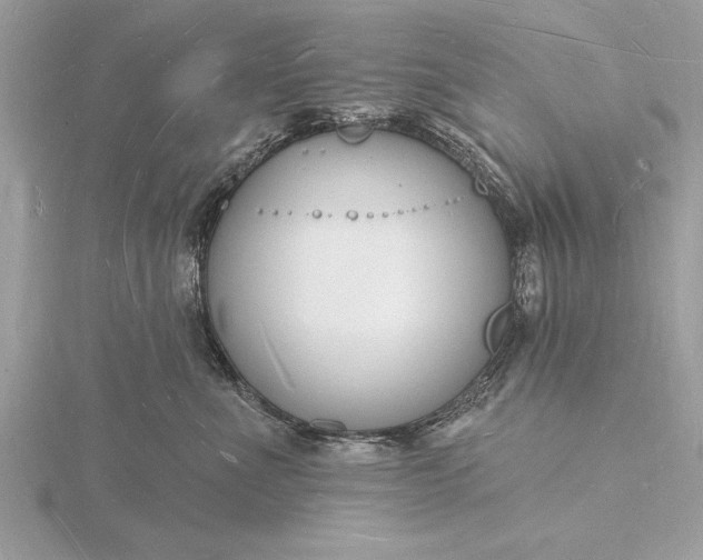 X0000116130523200912071225