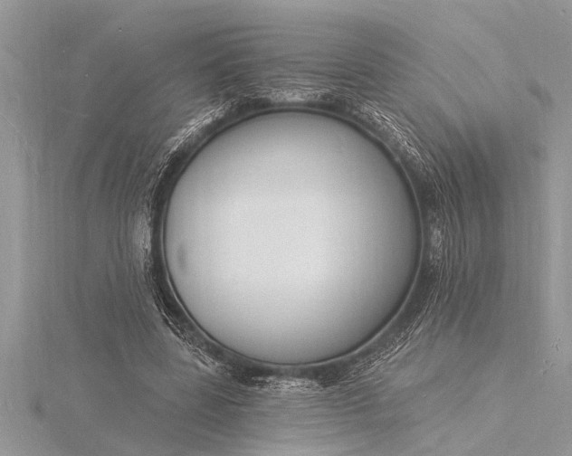 X0000116130539200912071224