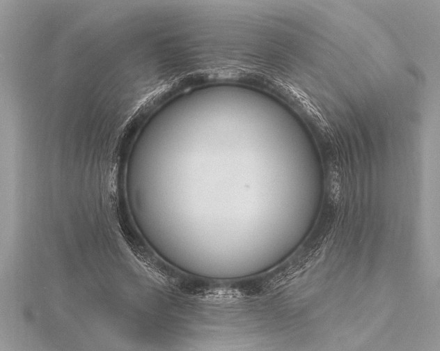 X0000116130543200912071224