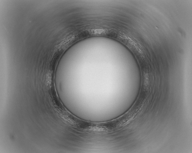 X0000116130545200912071224