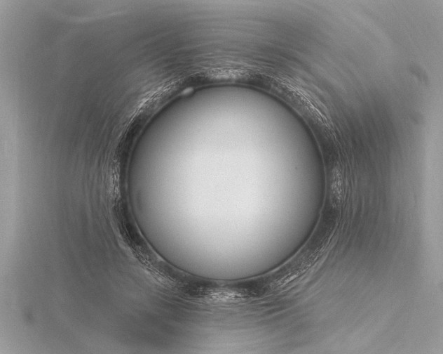 X0000116130547200912071224