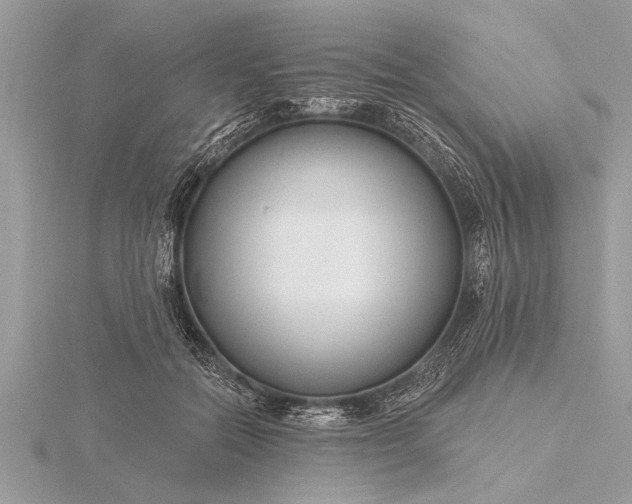 X0000116130554200912071224