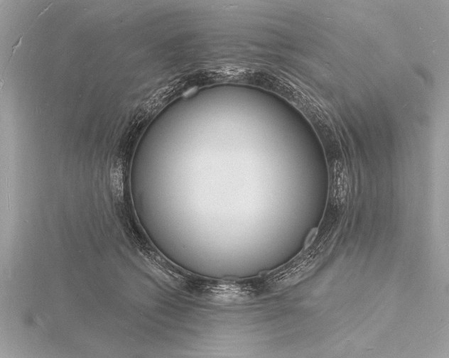 X0000116130562200912071225
