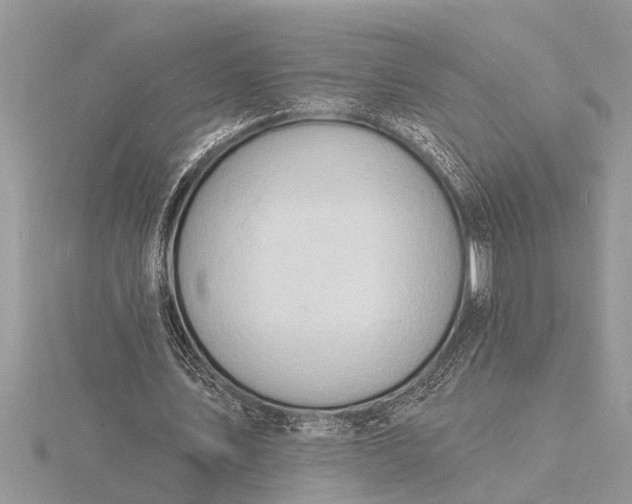 X0000116130579200912071224