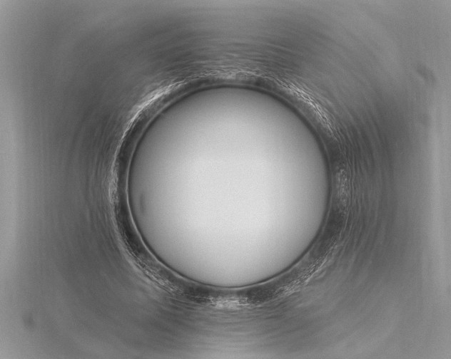 X0000116130587200912071224