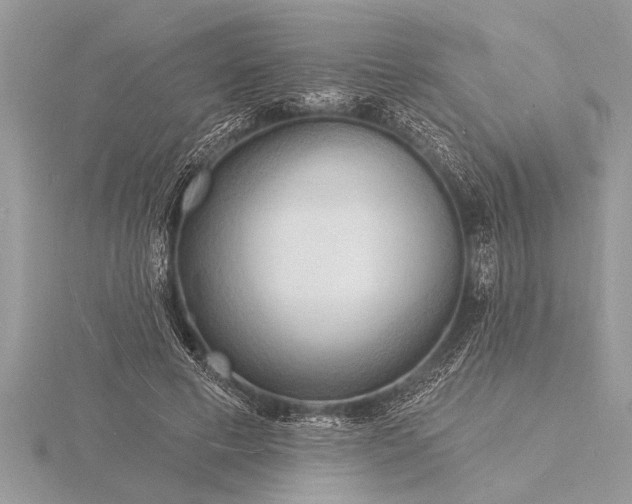X0000116130593200912071224