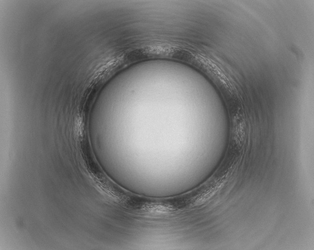 X0000116130597200912071224