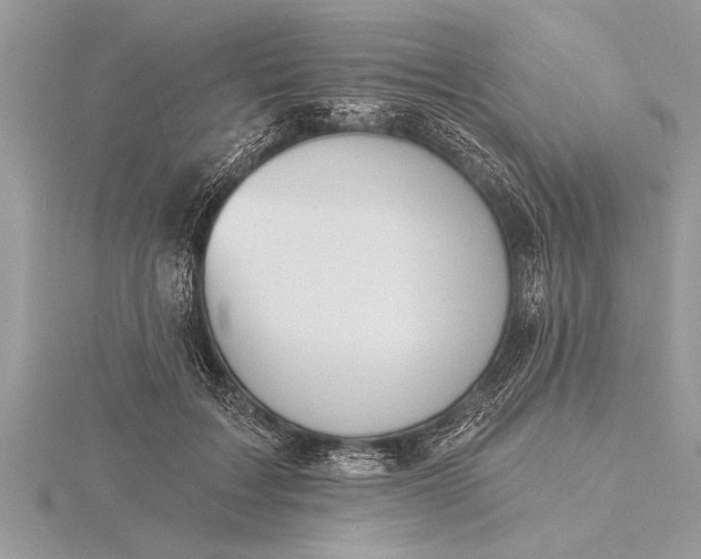 X0000116130603200912071224