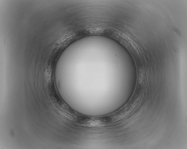 X0000116130604200912071224