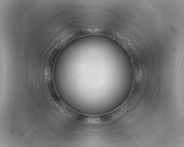 X0000116130606200912071224