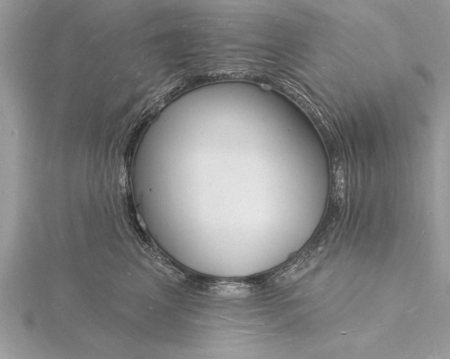 X0000116130617200912071224