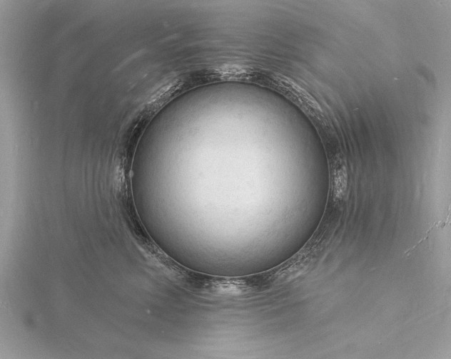 X0000116130618200912071224