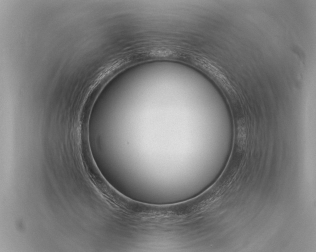 X0000116130626200912071223