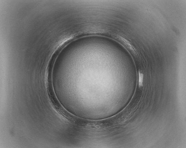 X0000116130627200912071223