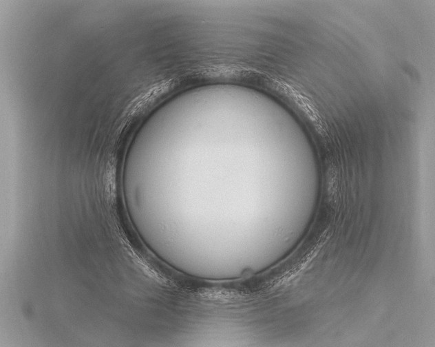 X0000116130633200912071223