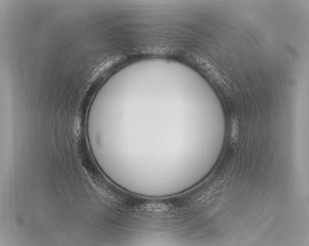 X0000116130636200912071223