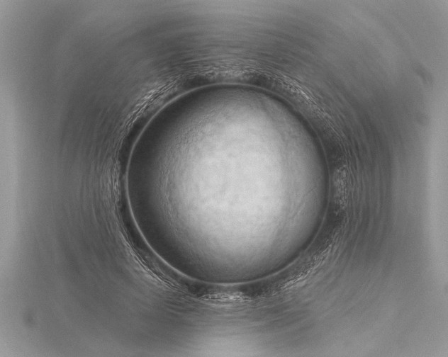 X0000116130642200912071223