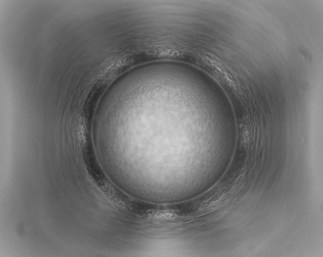 X0000116130643200912071223