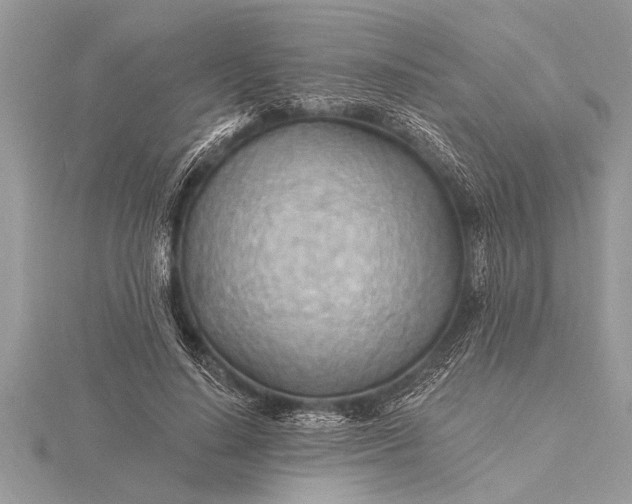 X0000116130644200912071223