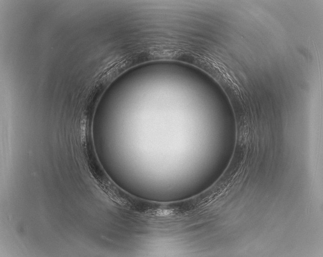 X0000116130647200912071223