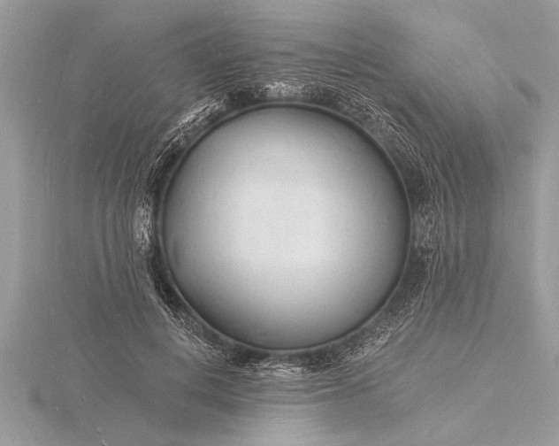 X0000116130648200912071223