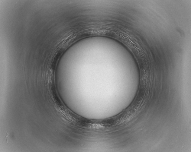 X0000116130649200912071223