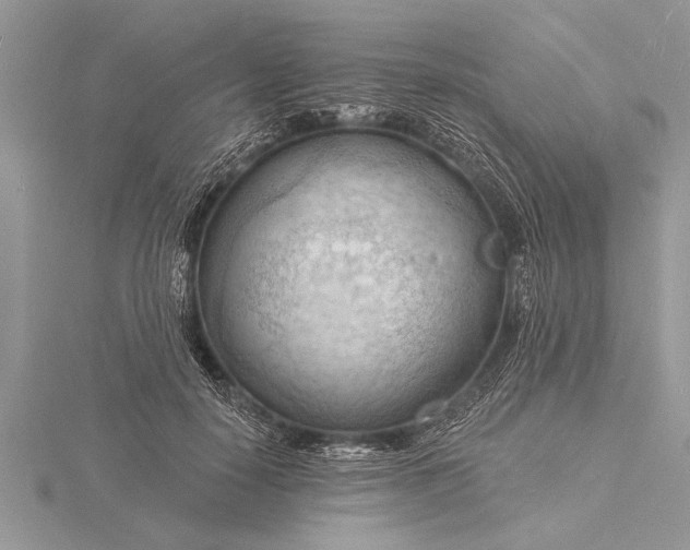 X0000116130650200912071223