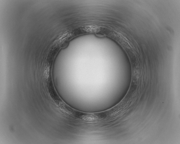 X0000116130652200912071223