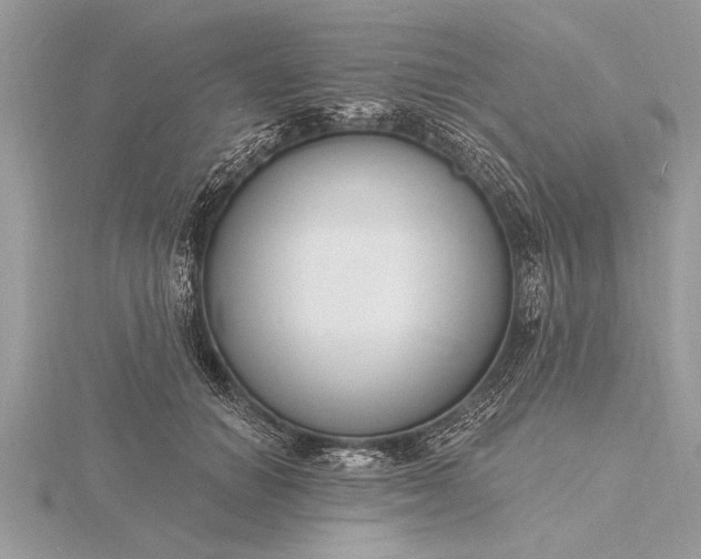 X0000116130654200912071223