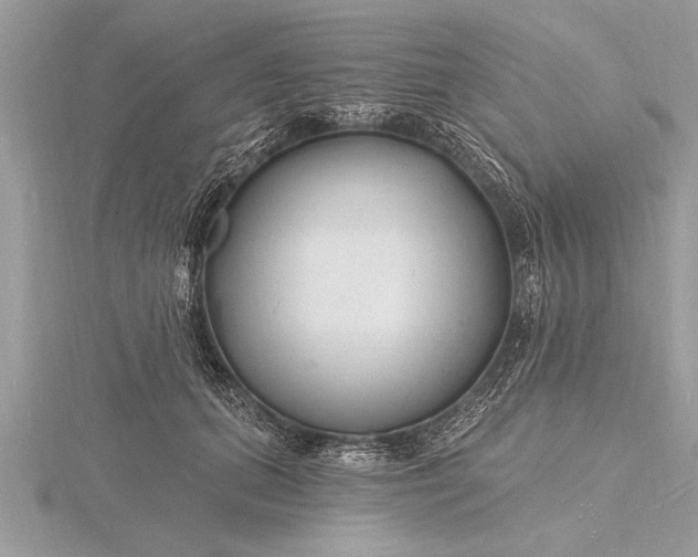 X0000116130655200912071223