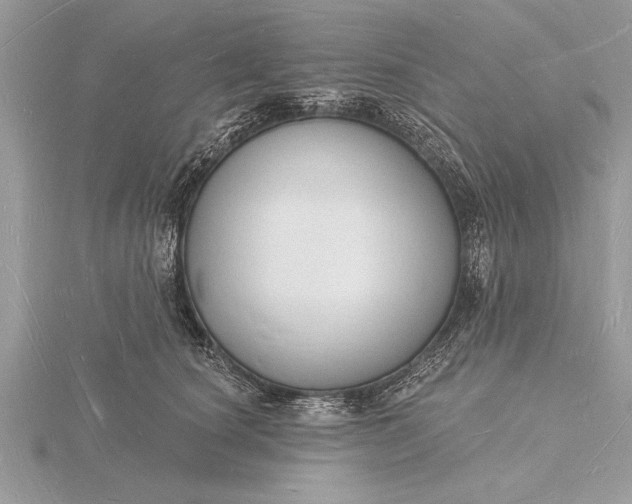 X0000116130660200912071223