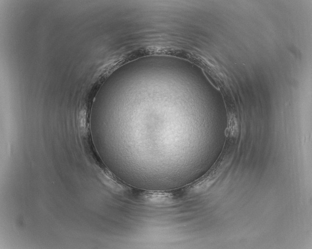 X0000116130670200912071224