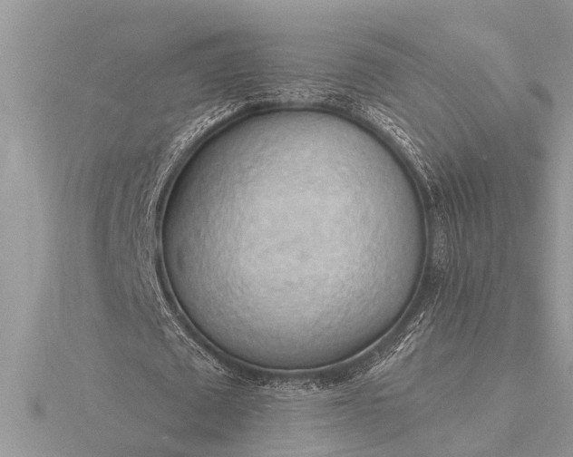 X0000116130673200912071223