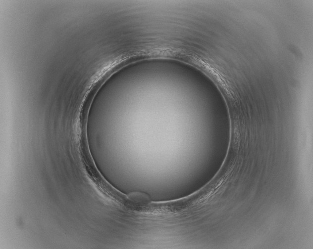X0000116130674200912071223