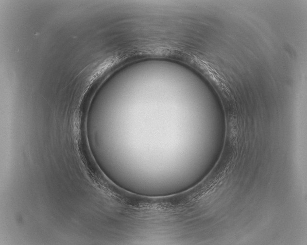 X0000116130679200912071223
