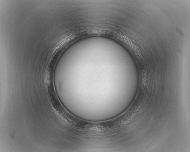 X0000116130683200912071223